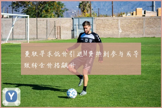 曼联寻求低价引进M费热刺参与或导致转会价格飙升